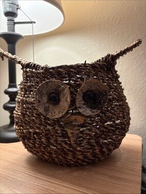 Woven owl planter